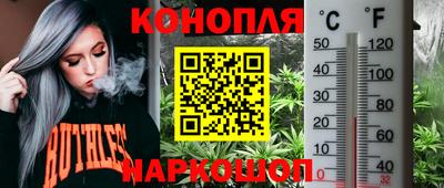 прущие грибы Комсомольск-на-Амуре