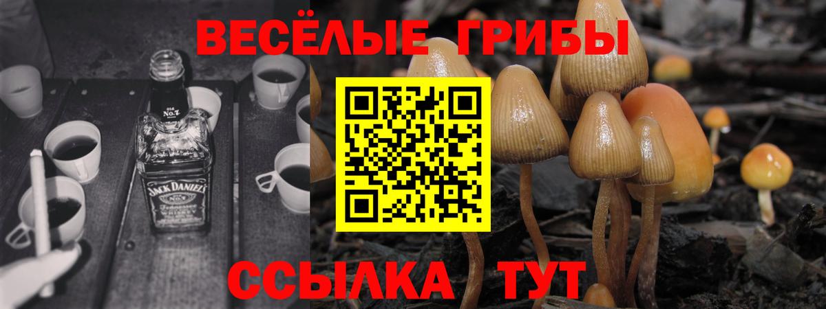 Каменка  Псилоцибиновые грибы GOLDEN TEACHER  Вход с VPN 